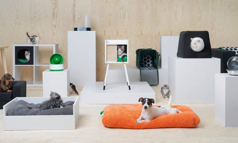 Pet Products means its your own child products