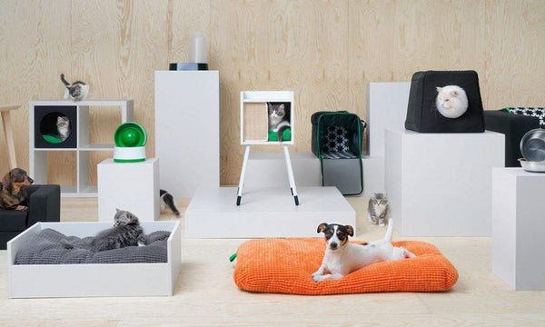 Pet Products means its your own child products