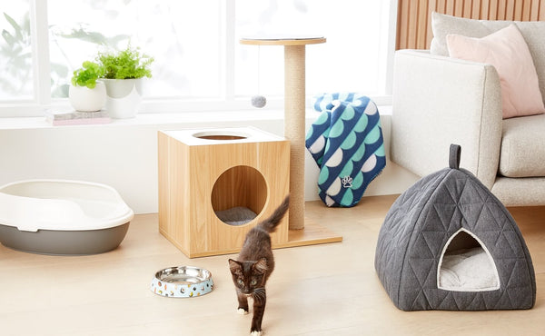 Choosing the right pet bed means making pet healthy